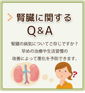 腎臓に関するQA